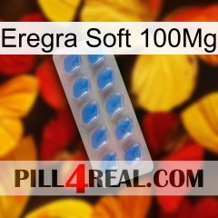 Eregra Soft 100Mg 22